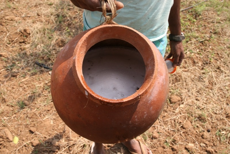 Kerala Toddy