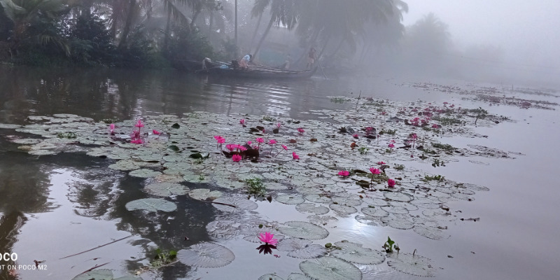 Green Waters, Greener Choices: How Canoe Rides and Kayaking Promote Sustainable Travel in Kumarakom